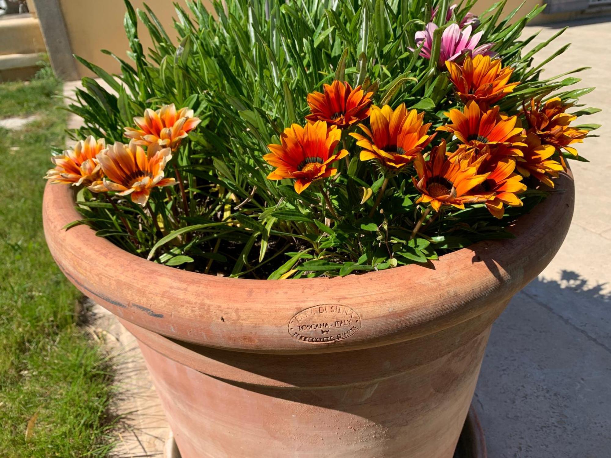 En Provence, Chez Stephanie Et Marcel Saint-Rémy-de-Provence 外观 照片