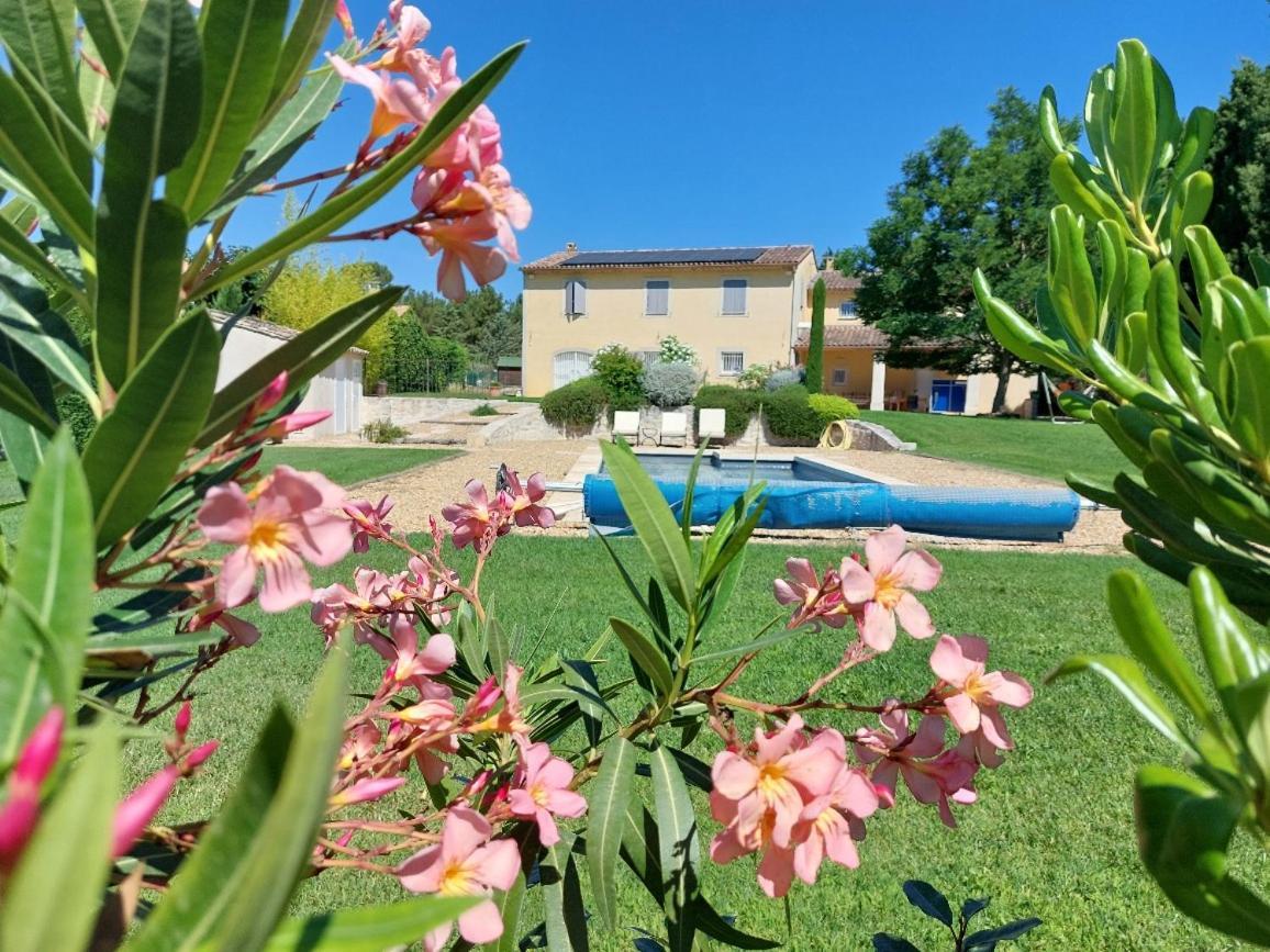 En Provence, Chez Stephanie Et Marcel Saint-Rémy-de-Provence 外观 照片