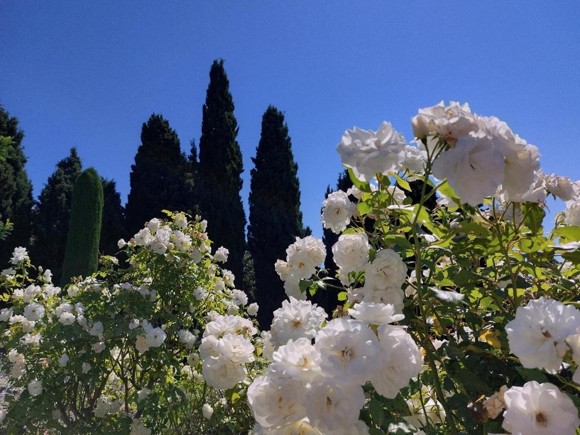 En Provence, Chez Stephanie Et Marcel Saint-Rémy-de-Provence 外观 照片